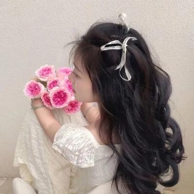 星河入梦海报