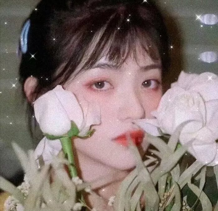 陈赫连 照片